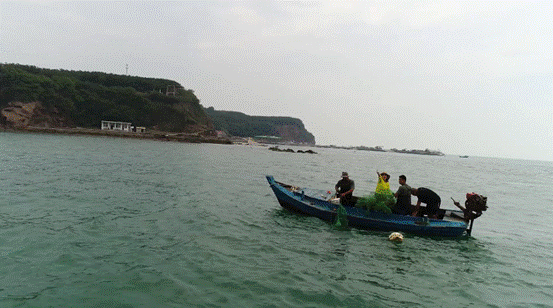 image002.gif