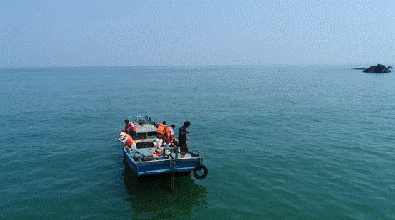 image009.gif